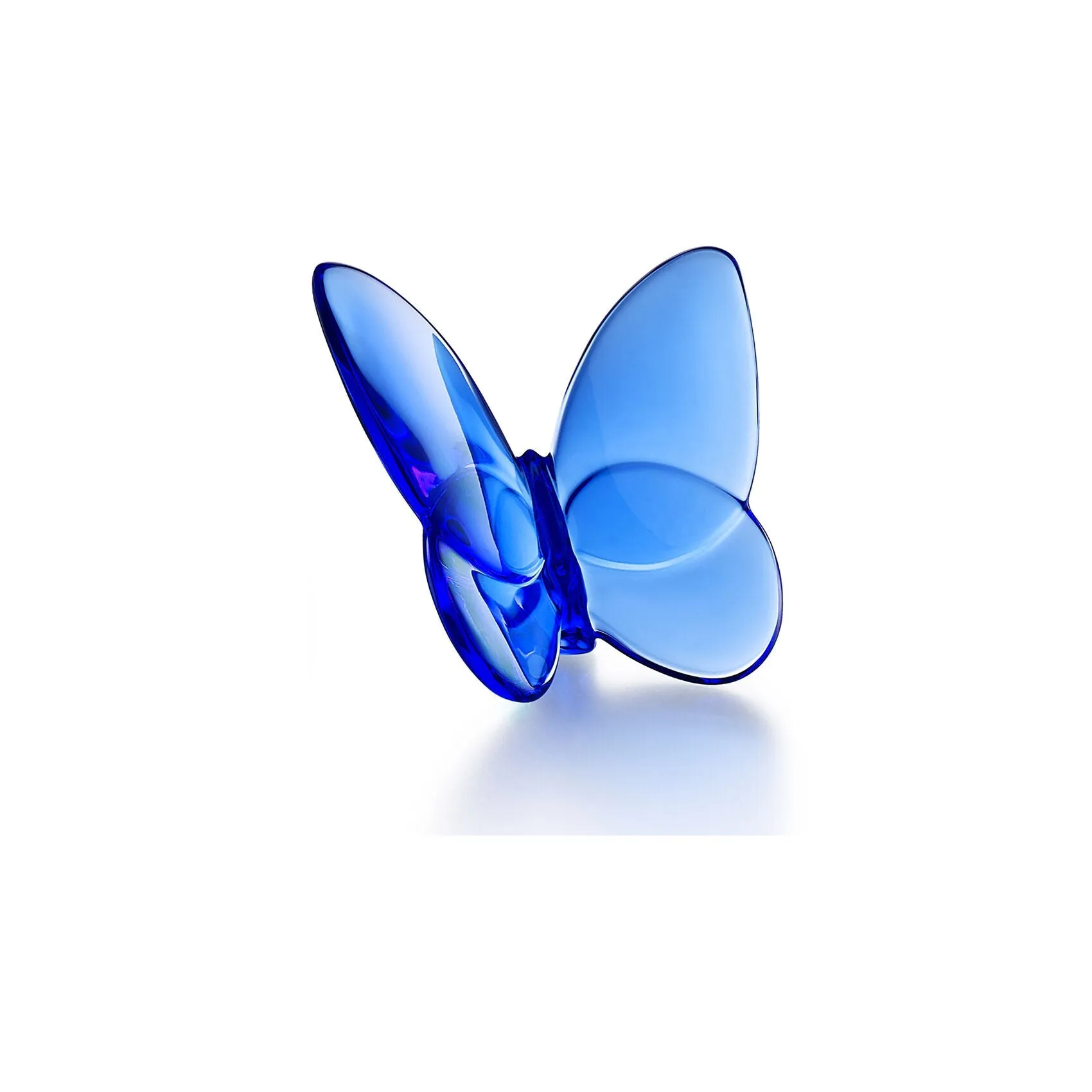 Blue Butterfly