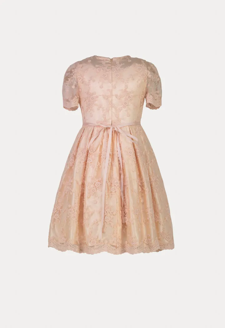 Powder Pink Lace Dress With Floral Waistband